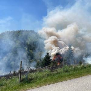 Waldbrand