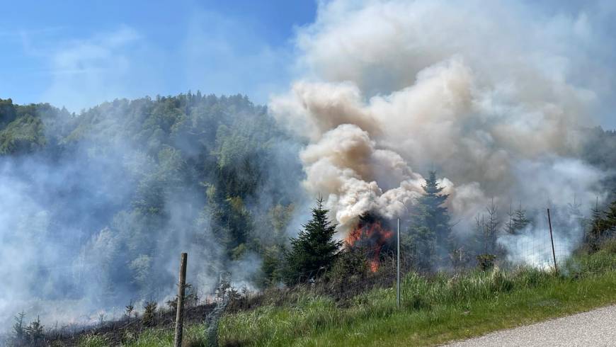 Waldbrand